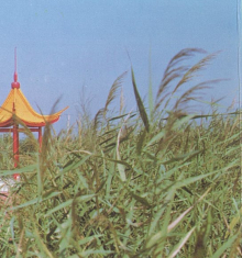 &#24320;&#20113;&#40;&#20013;&#22269;&#41;&#75;&#97;&#105;&#121;&#117;&#110;